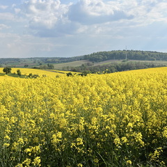 22-05-02 17-33-05 0741